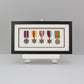 Military and Service Medal display Frame for Six Medals. 20x40cm. Handmade. Service Medals | War Medals | WW1 | WW2 | Collector Medals - PhotoFramesandMore - Wooden Picture Frames