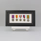 Military and Service Medal display Frame for Five Medals. 20x40cm | Service Medal | War Medal | WW1 | WW2 | Commemorative | D-Day - PhotoFramesandMore - Wooden Picture Frames