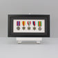 Military and Service Medal display Frame for Six Medals. 20x40cm. Handmade. Service Medals | War Medals | WW1 | WW2 | Collector Medals - PhotoFramesandMore - Wooden Picture Frames
