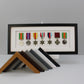 Military and Service Medal display Frame for Seven Medals. 20x50cm. Service Medals | War Medals | WW1 | WW2 | Commemorative Medals - PhotoFramesandMore - Wooden Picture Frames